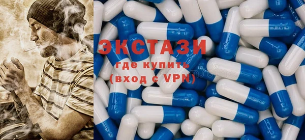 ECSTASY Богданович